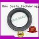 DMS Seal Manufacturer primary rubber oil seal with low radial forces for housing 1