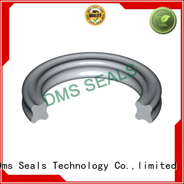 DMS Seal Manufacturer hydraulic wiper seals Suppliers in highly aggressive chemical processing 1