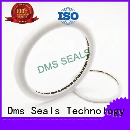 oil seal spring manufacturers for reciprocating piston rod or piston single acting seal 1
