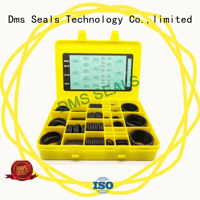 DMS Seal Manufacturer top quality o-ring kits Exporter For seal 1