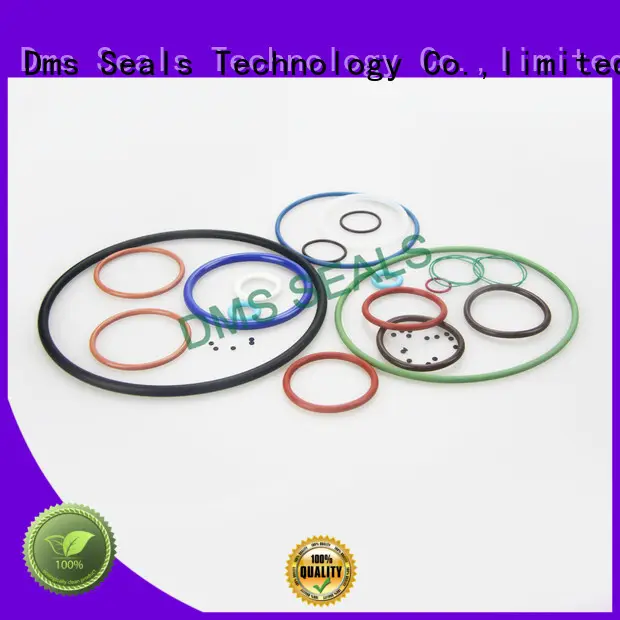 Latest oil seal ring for business in highly aggressive chemical processing 1