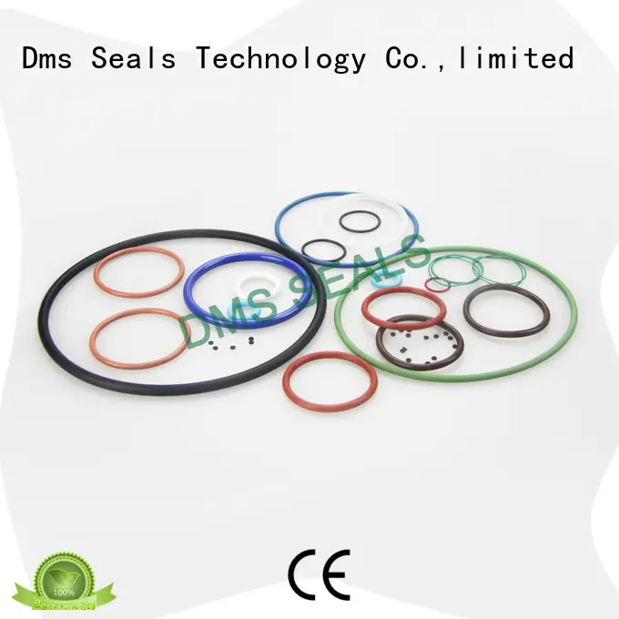 DMS Seal Manufacturer Wholesale wiper seal design for static sealing 1