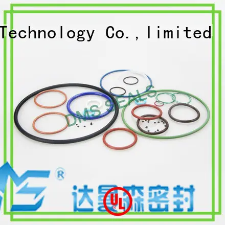 DMS Seal Manufacturer metric wiper seal company in highly aggressive chemical processing 1