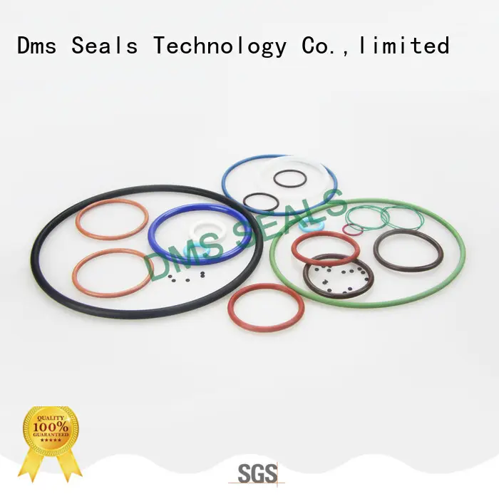 DMS Seal Manufacturer Wholesale O Ring Manufacturer for business for static sealing 1