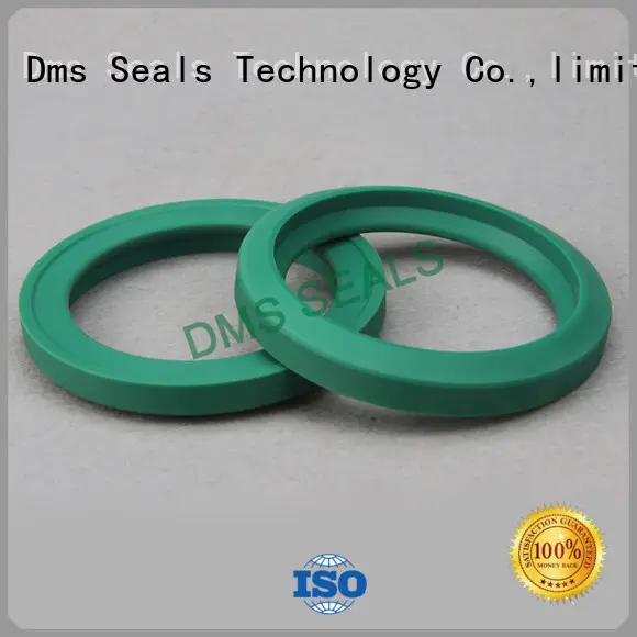 DMS Seal Manufacturer hydraulic oil seal supplier for piston and hydraulic cylinder 1