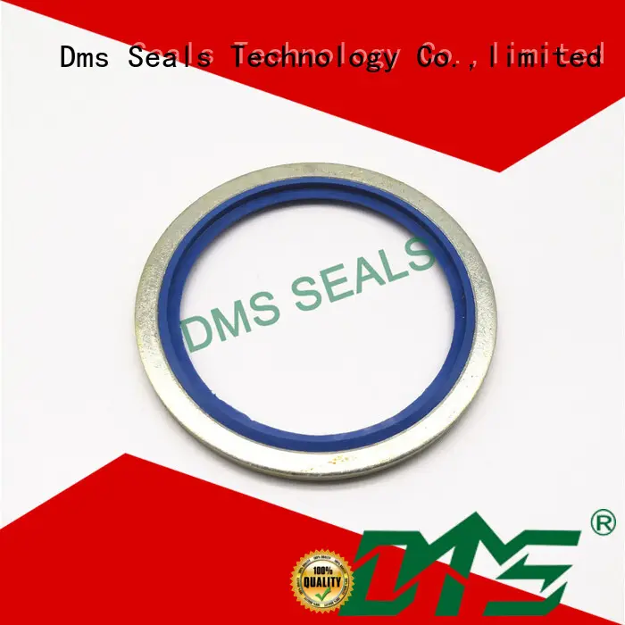DMS Seal Manufacturer Top bonded washer dimensions factory for fast and automatic installation 1