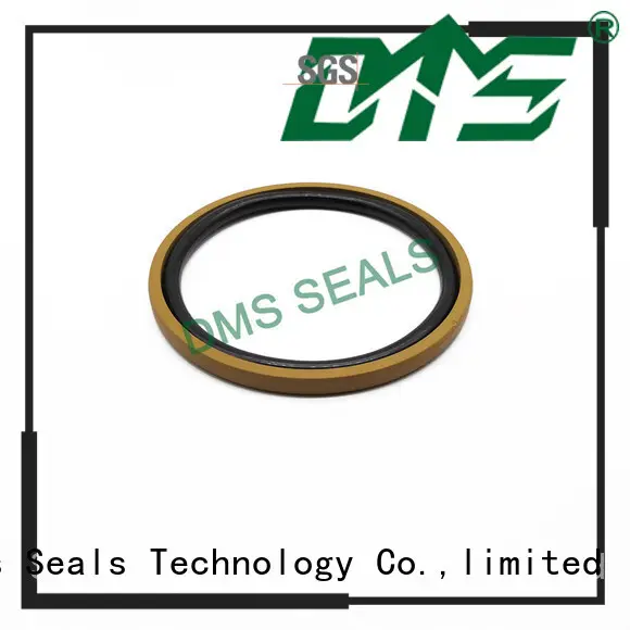 DMS Seal Manufacturer hydraulic oil seal manufacturers with ptfe nbr and pom for light and medium hydraulic systems 1