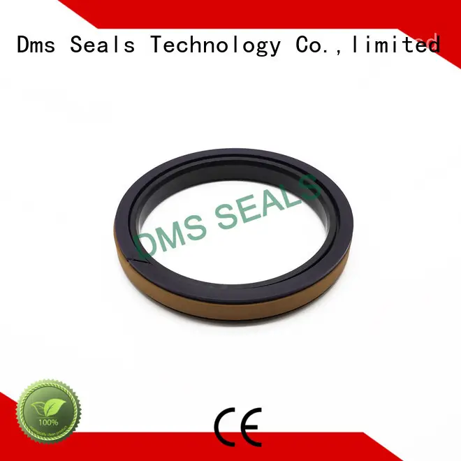 DMS Seal Manufacturer New molded seals Supply for pneumatic equipment 1