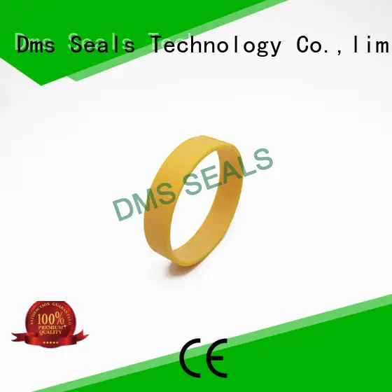 DMS Seal Manufacturer High-quality bearing the elements as the guide sleeve 1