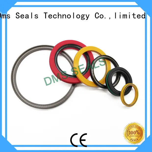 DMS Seal Manufacturer Latest glrd mechanical seal factory for reciprocating piston rod or piston single acting seal 1