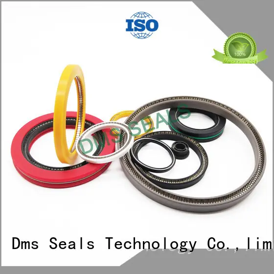 DMS Seal Manufacturer conical spring mechanical seal Supply for reciprocating piston rod or piston single acting seal 1