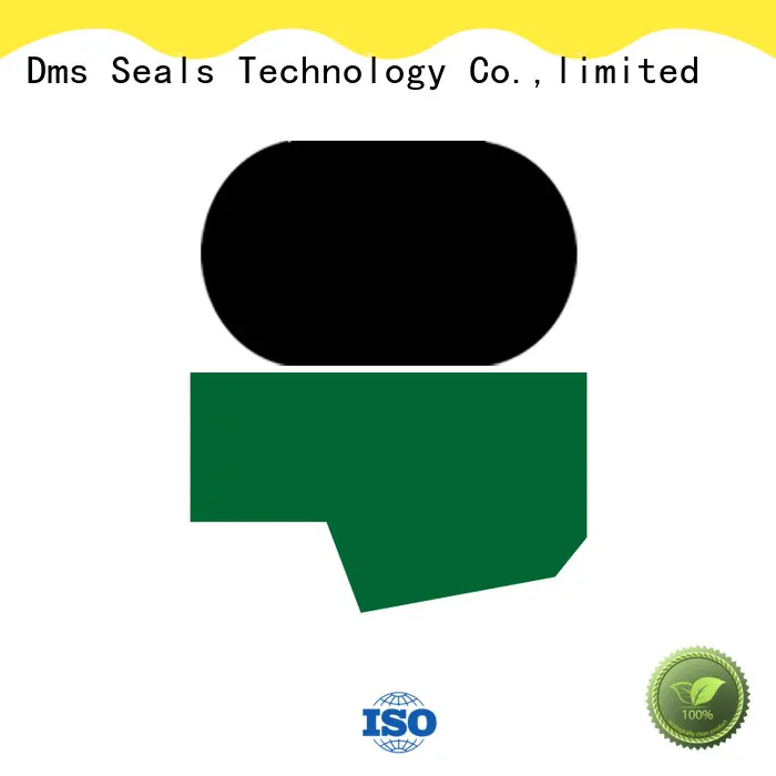 DMS Seal Manufacturer Custom forklift hydraulic cylinder seals with nbr or pu for sale 1