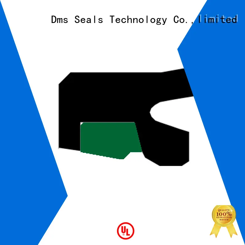 DMS Seal Manufacturer piston seal hydraulic Supply to high and low speed 1