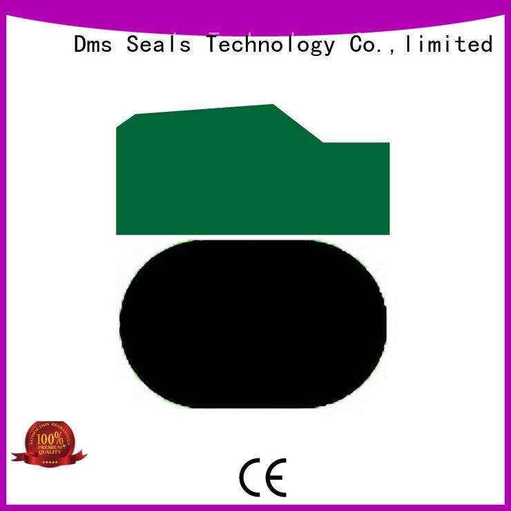 DMS Seal Manufacturer High-quality air piston seal factory for light and medium hydraulic systems 1