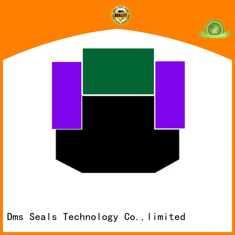 DMS Seal Manufacturer hydraulic u seal with ptfe nbr and pom for pneumatic equipment 1