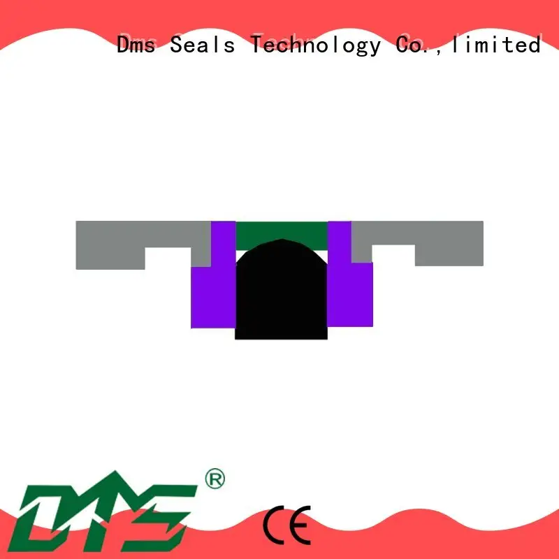 DMS Seal Manufacturer Wholesale hydraulic pump seals suppliers manufacturers for sale 1