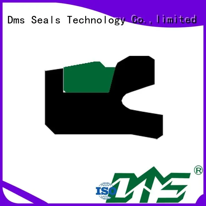 DMS Seal Manufacturer Top pneumatic seal kit factory for sale 1