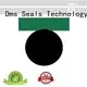 DMS Seal Manufacturer Latest transmission piston seal factory for light and medium hydraulic systems 1