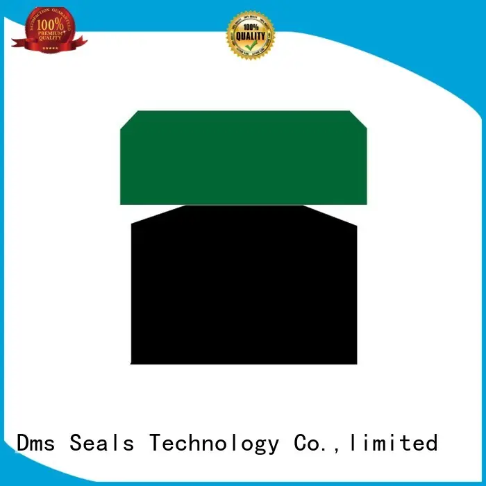 DMS Seal Manufacturer hydraulic rod seal installer factory for pneumatic equipment 1