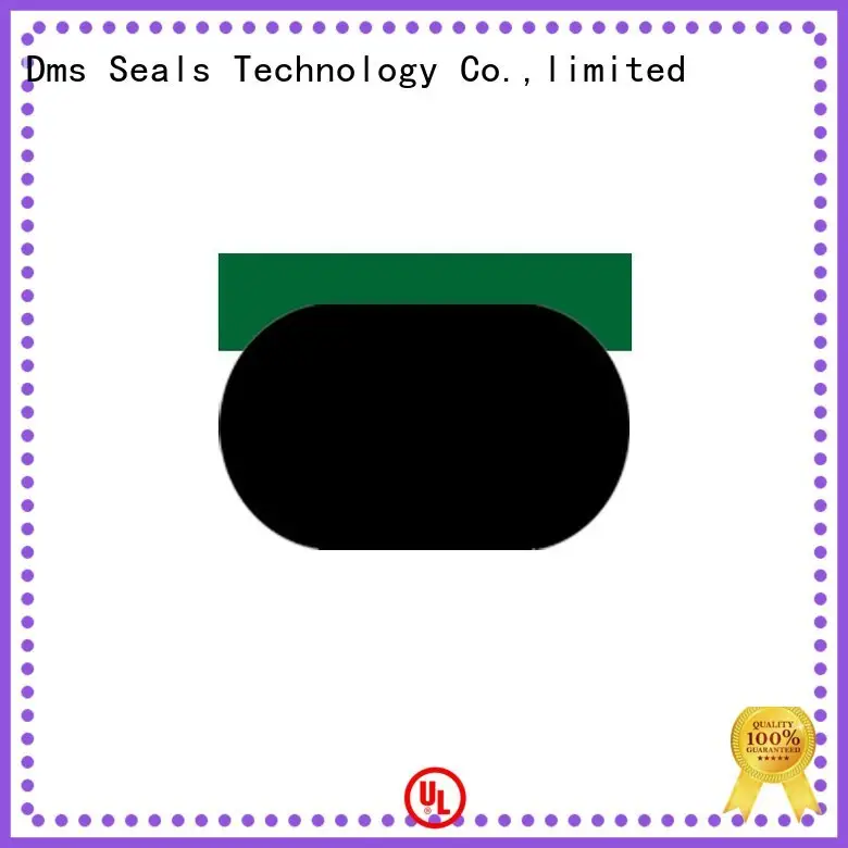 DMS Seal Manufacturer oil seal hydraulic with nbr or fkm o ring for sale 1
