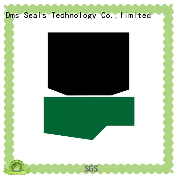 DMS Seal Manufacturer wholesale hydraulic seals for business for pressure work and sliding high speed occasions 1