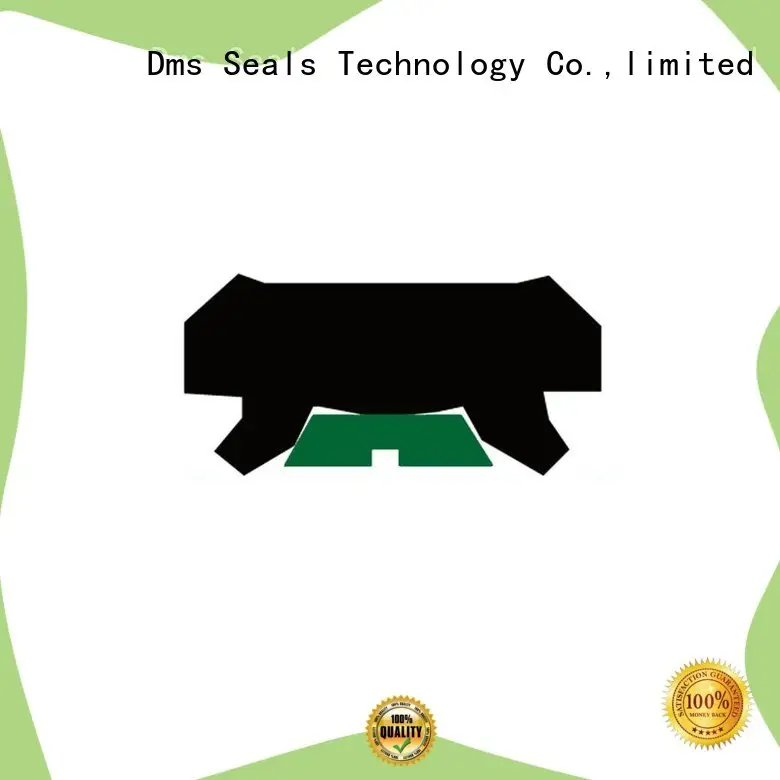 DMS Seal Manufacturer Best hydraulic cylinder seals with nbr or fkm o ring to high and low speed 1