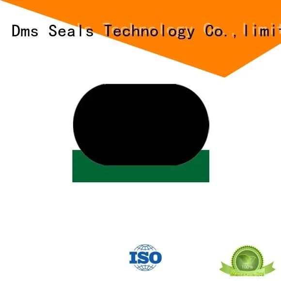 DMS Seal Manufacturer hydraulic cylinder seal design for sale 1