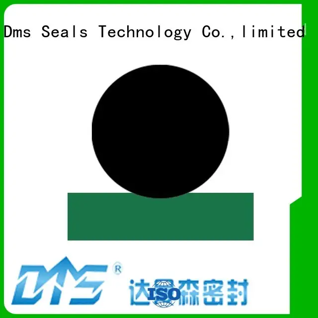 DMS Seal Manufacturer best hydraulic cylinder piston rings Supply to high and low speed 1
