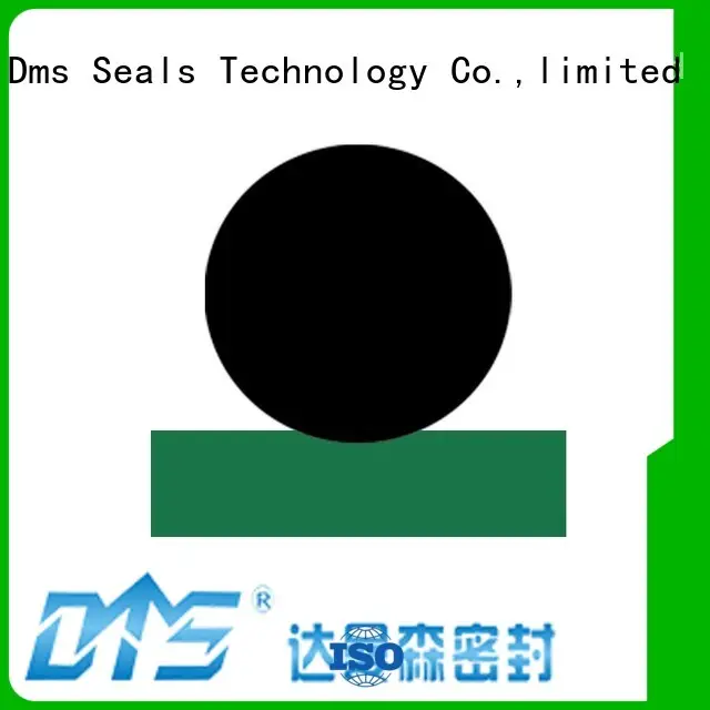 DMS Seal Manufacturer best hydraulic cylinder piston rings Supply to high and low speed 1