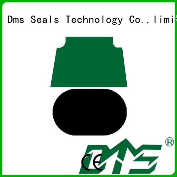 DMS Seal Manufacturer piston seal hydraulic Suppliers for sale 1