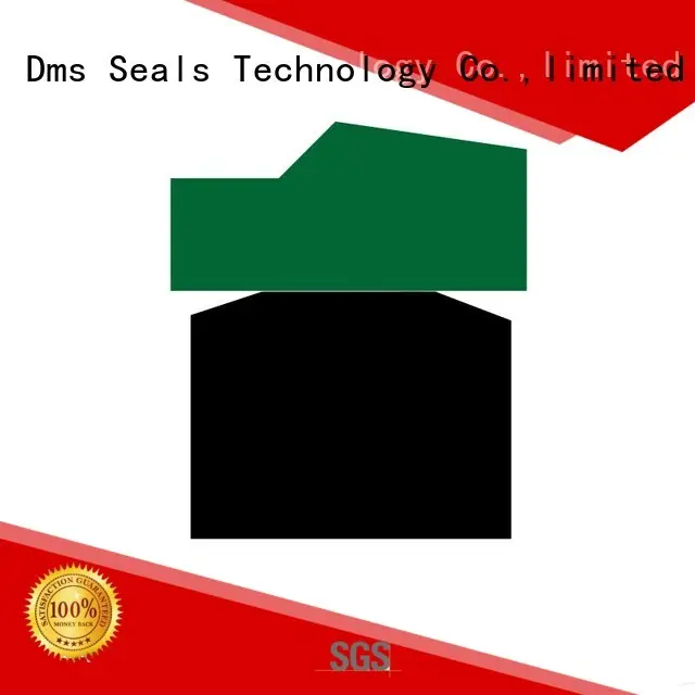 Best safety seal piston ring company manufacturer for light and medium hydraulic systems 1