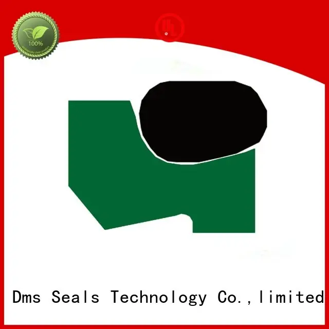DMS Seal Manufacturer seal scraper with nbr or fkm o ring for agricultural machinery 1