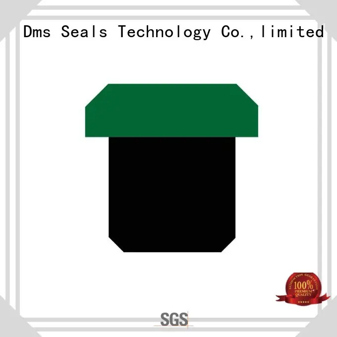 DMS Seal Manufacturer Top hydraulic cylinder piston seals with nbr or fkm o ring for pneumatic equipment 1