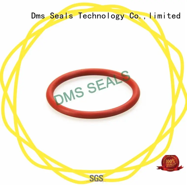 DMS Seal Manufacturer 6 inch rubber o ring factory for static sealing 1