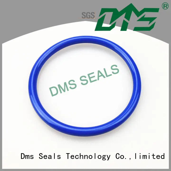 DMS Seal Manufacturer polyurethane large o ring assortment factory in highly aggressive chemical processing 1