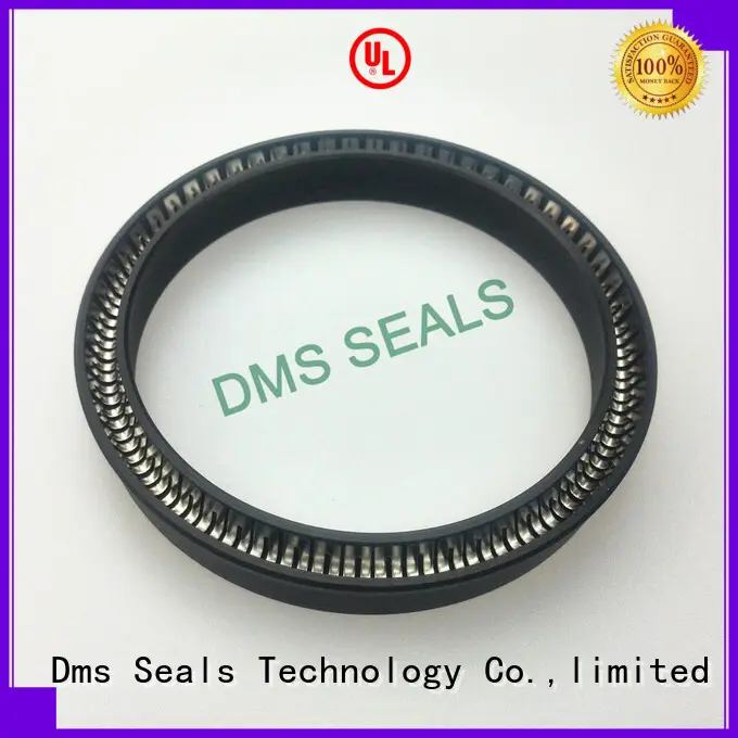 DMS Seal Manufacturer Best oil seal spring for business for aviation 1