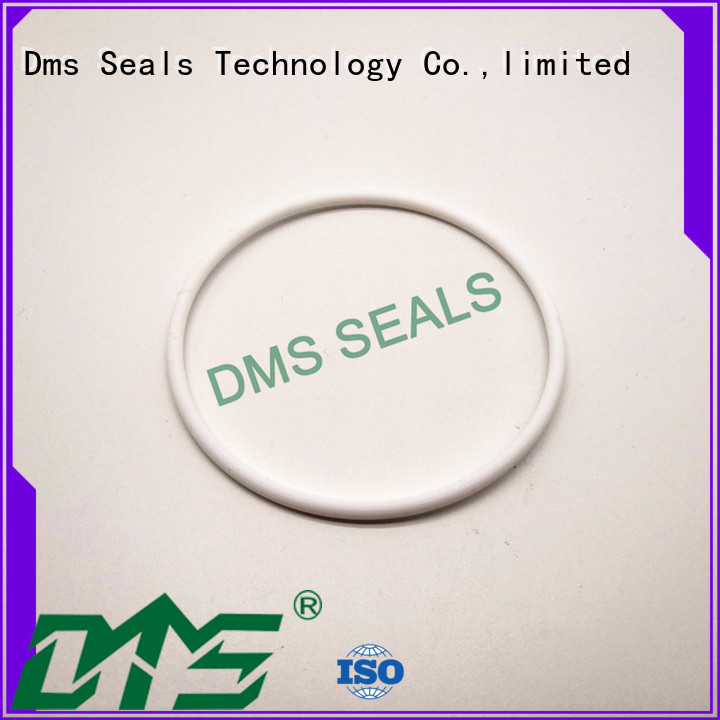DMS Seal Manufacturer rubber round rubber ring Suppliers in highly aggressive chemical processing 1