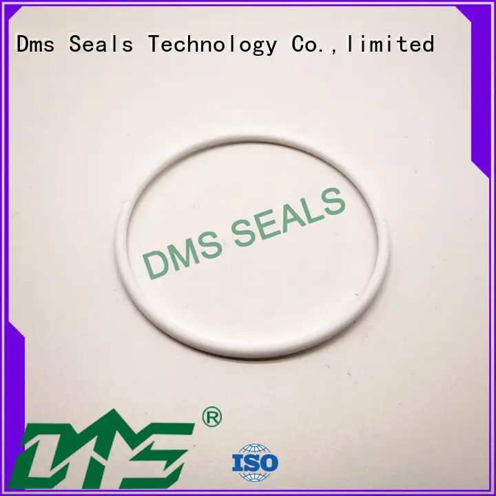 DMS Seal Manufacturer rubber round rubber ring Suppliers in highly aggressive chemical processing 1