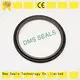 DMS Seal Manufacturer pump seal supplies glyd ring 1