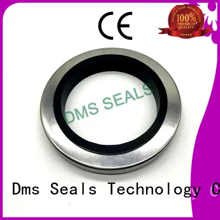 DMS Seal Manufacturer hot sale steel rubber seals with a rubber coating for housing 1