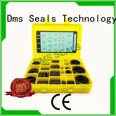 DMS Seal Manufacturer good quality o ring mould company For sealing products 1