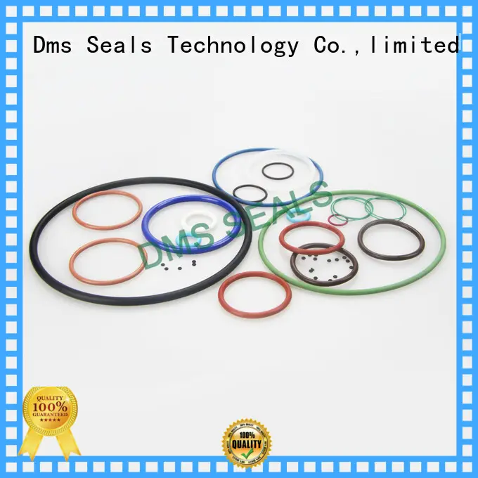 DMS Seal Manufacturer giant o ring for sale 1