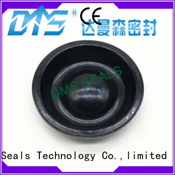 DMS Seal Manufacturer home door rubber seal with valuable elasticity for air bottle 1