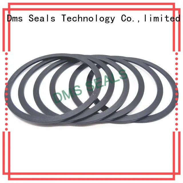 DMS Seal Manufacturer bronze filled cutting gasket material ring for liquefied gas 1
