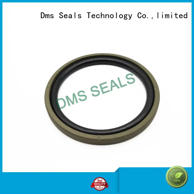 DMS Seal Manufacturer High-quality hydraulic pump oil seal manufacturers for light and medium hydraulic systems 1