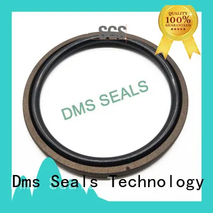 DMS Seal Manufacturer Custom piston rod seals hydraulic Suppliers for sale 1