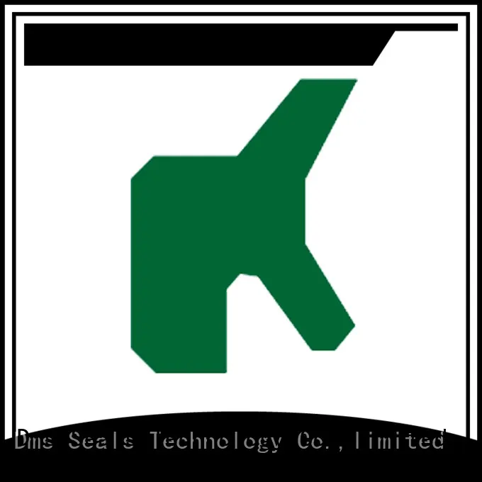 DMS Seal Manufacturer scraper seals Supply for cranes 1