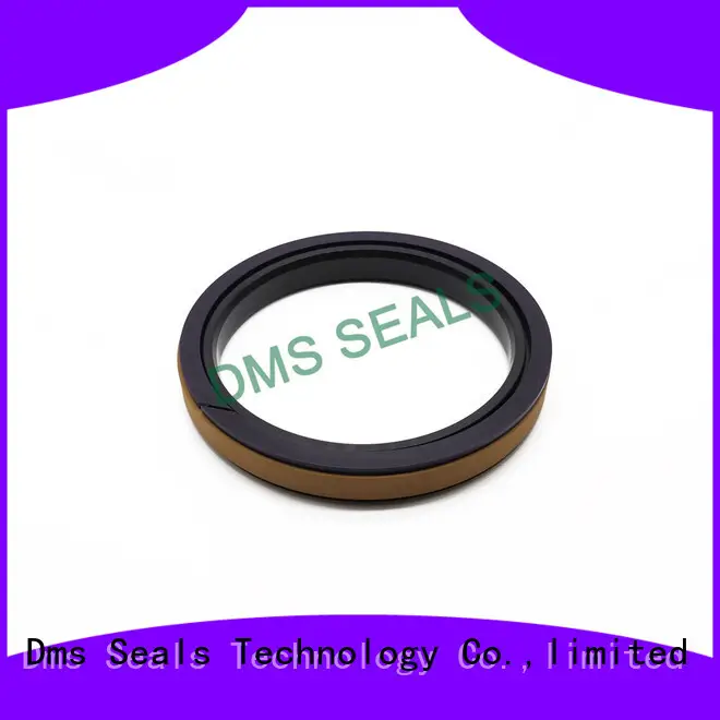 DMS Seal Manufacturer Best hydraulic seal kits suppliers glyd ring for light and medium hydraulic systems 1