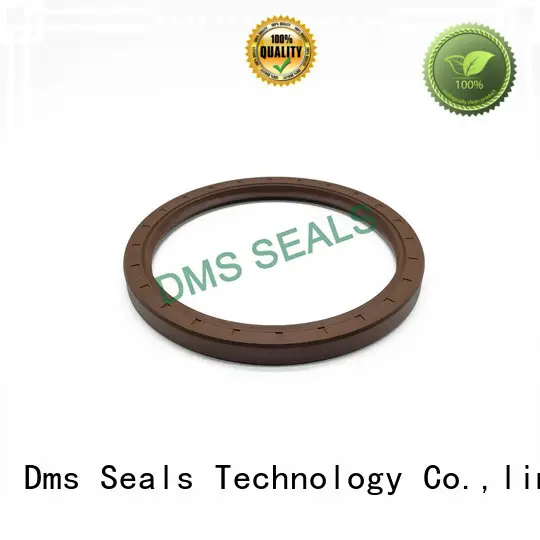 DMS Seal Manufacturer professional oil seal manufacturer with a rubber coating for housing 1