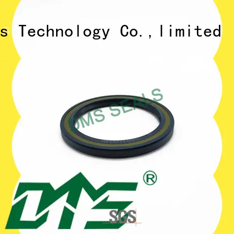 DMS Seal Manufacturer professional oil seal cost with a rubber coating for sale 1